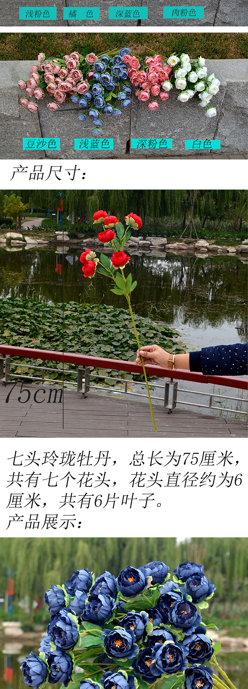 七头玲珑牡丹_02 拷贝.jpg