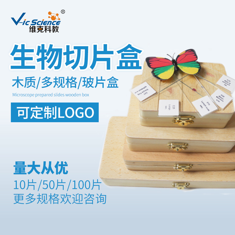 源头厂家  100片装 木质切片盒   病理切片盒  生物切片盒 木盒