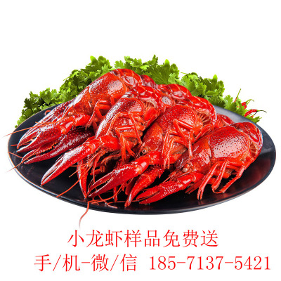 半夜虾叫潜江油焖大虾料麻辣十三香小龙虾炒料香辣蟹海鲜调料香料