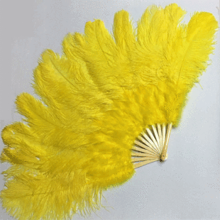 ���S�����l�� 12Ƭ�r�Bë�赸��̨�ݳ�������ë�ȹ�ˇƷ