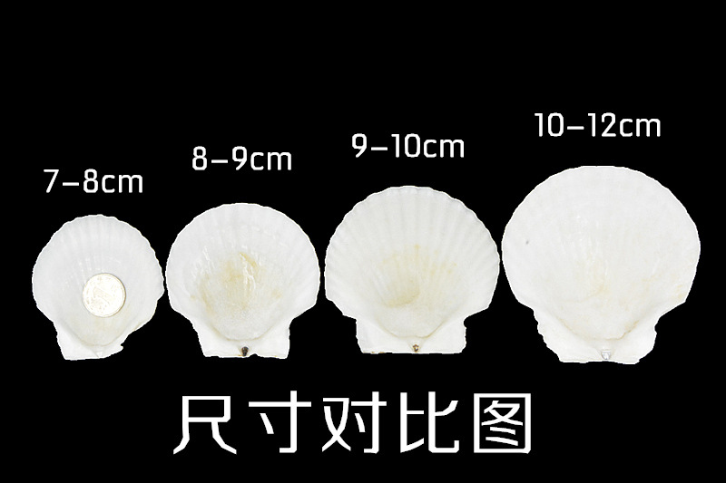 0852ccec47fa0f47a605af9720b027