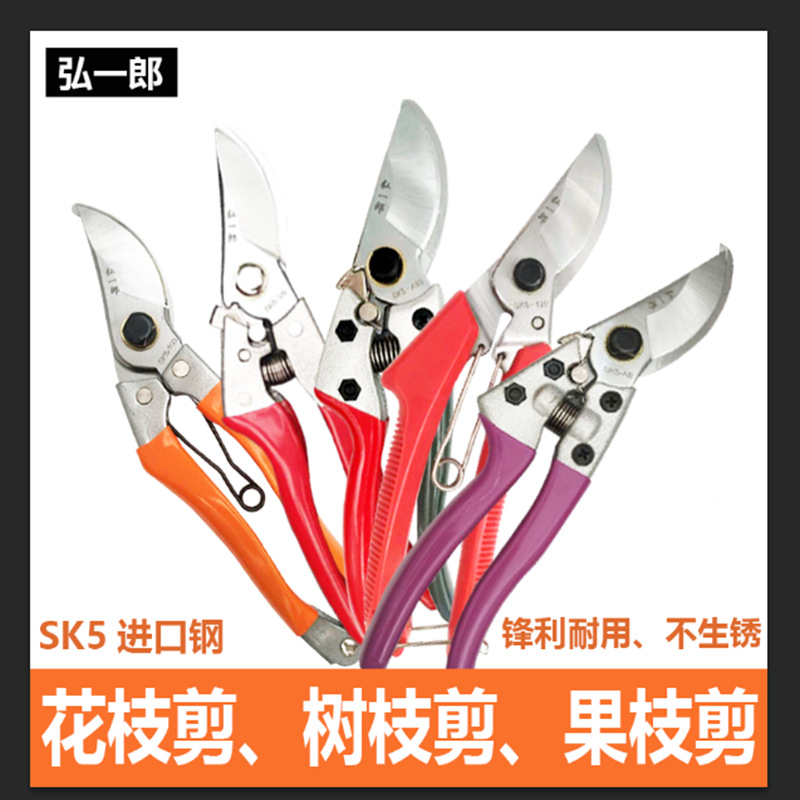 批发弘一郎园林果园修枝剪 花艺剪 树枝剪刀 果树剪刀 园艺剪子