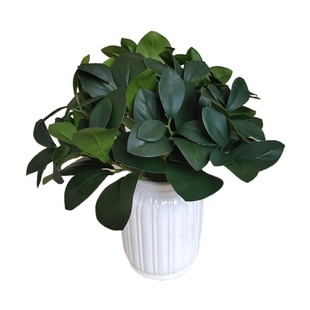 �G�������ֲ�� ������滨 �Ӽ�ܛ�b�Gֲ�Ƶ��b����l����