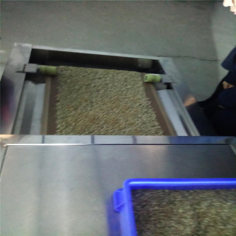 坚果除虫除虫卵 微波坚果灭虫设备 曼斯德微波