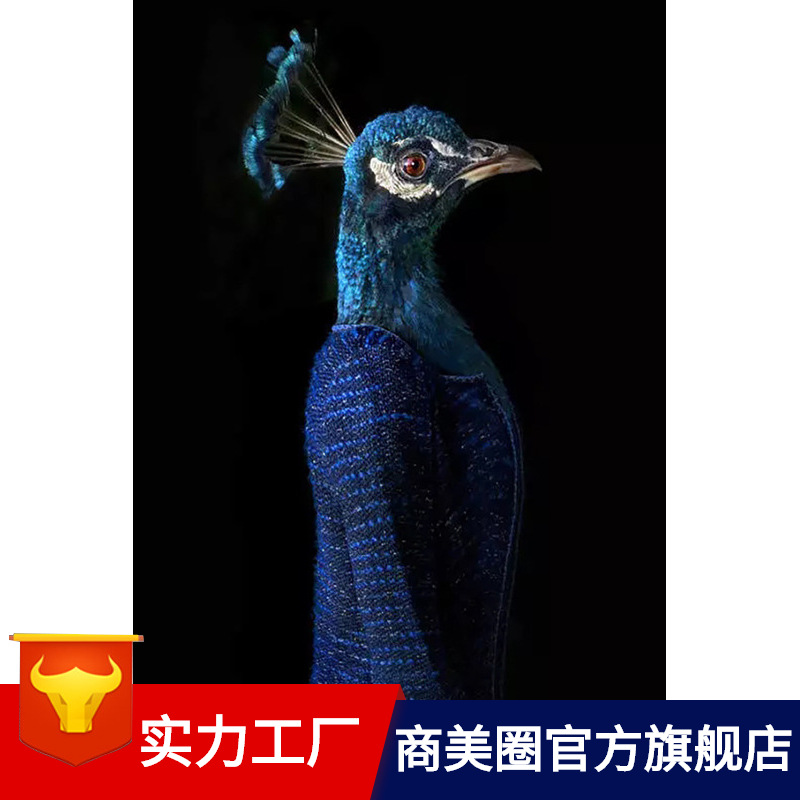 �����װ������������̳��������������չ�᲼�õ���������װ