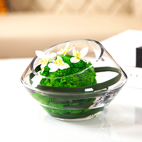 Hydroponic flower arrangement oblique mouth glass flower vase hotel coffee table dining table soft decoration floral art ornament living room home decoration 