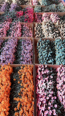 [City shore C0357 ]Frosted string valve PE foam Artificial Flower Artificial flower Silk flower Plastic flowers Factory wholesale