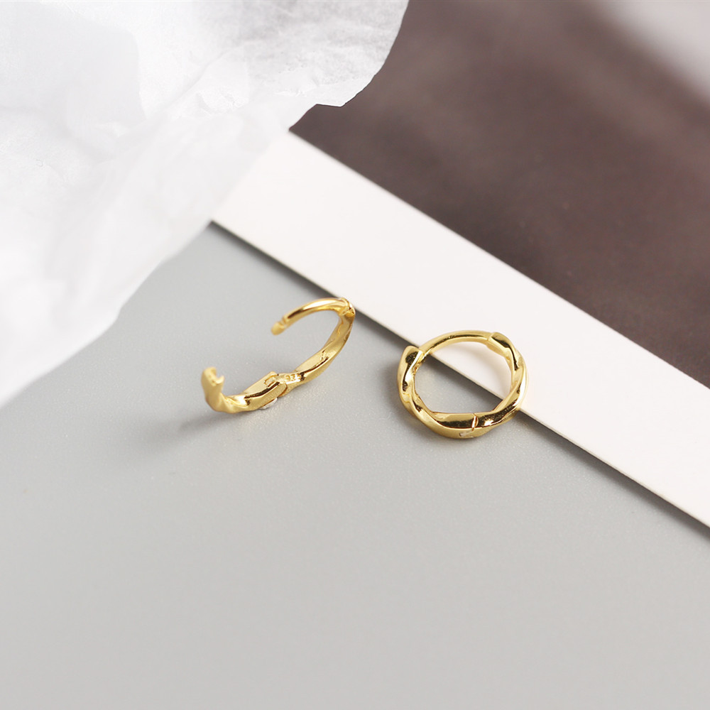 Geometric Casual Simple Style Classic Style 925 Sterling Silver No Inlaid Plating Earrings display picture 8