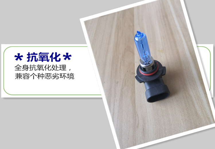 图片5_副本_副本