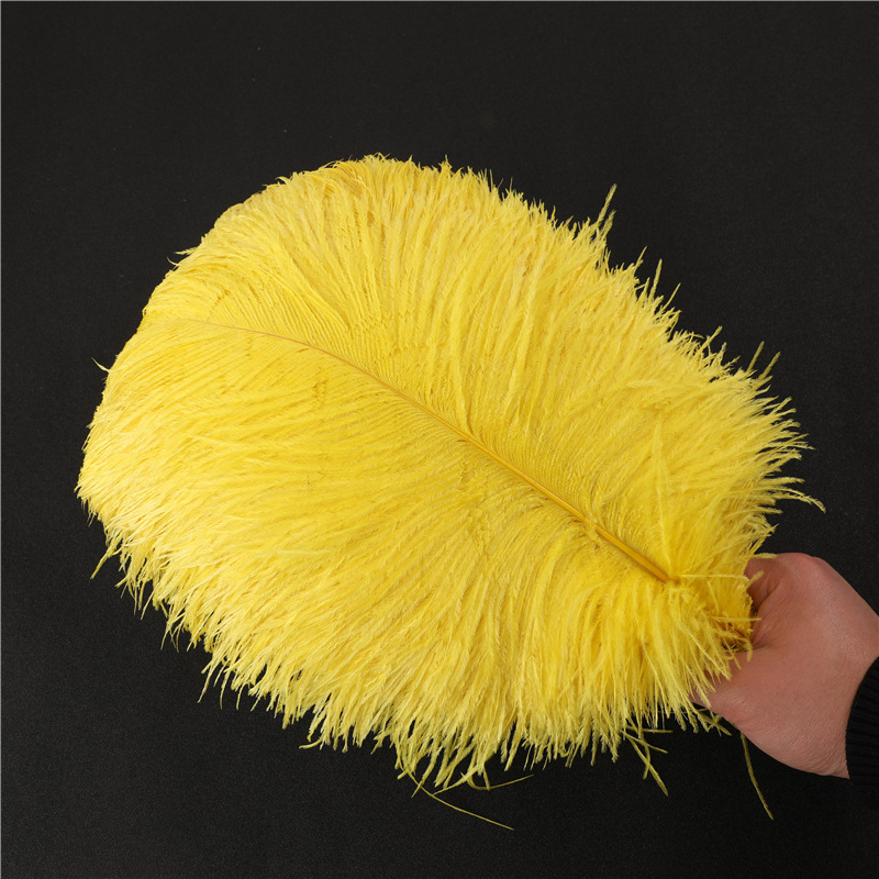 复制_批发鸵鸟毛50-80cm普通羽毛 婚庆插.jpg