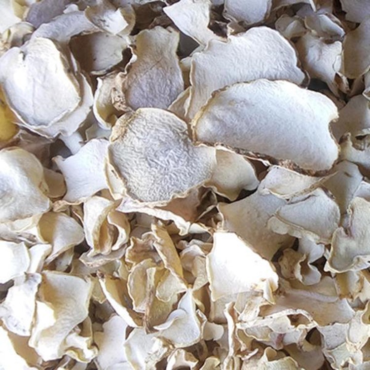 �������ȱ�ħ���ɻ� ����ͷ�����ʪ�豸 ũ��Ʒ�ȷ�ѭ����ɷ�