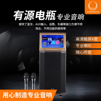 10带点歌机10寸12寸双12寸户外K歌广场舞大功率蓝牙移动电瓶音箱