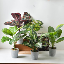 ����ֲ�����Ա��W�Gֲ�b������҃��辰�Ƶ�͏d�[����������~