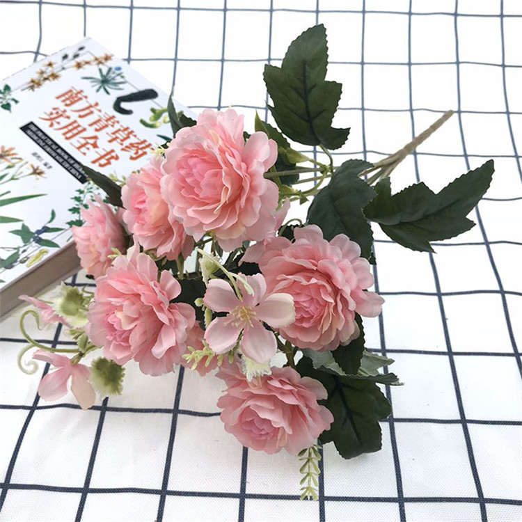 7头南方牡丹-主_12 (3).jpg