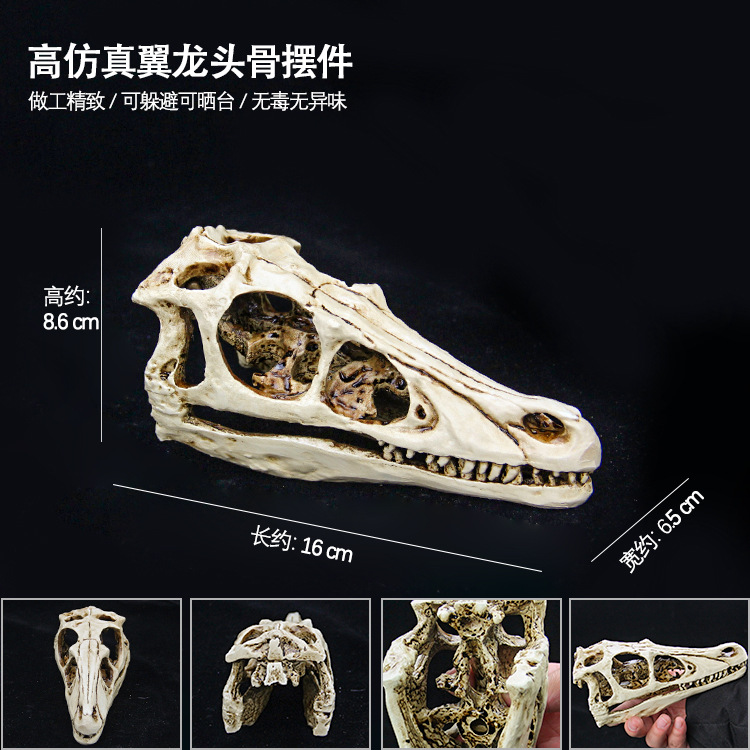 翼龙头骨摆件