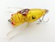 Lifelike Cicada Fishing Tackle Lures, Artificial Freshwater Swimming Bait Crankbaits