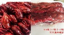 盱眙鲜活小龙虾789钱冷冻小龙虾冰鲜速冻小龙虾冰冻小龙虾