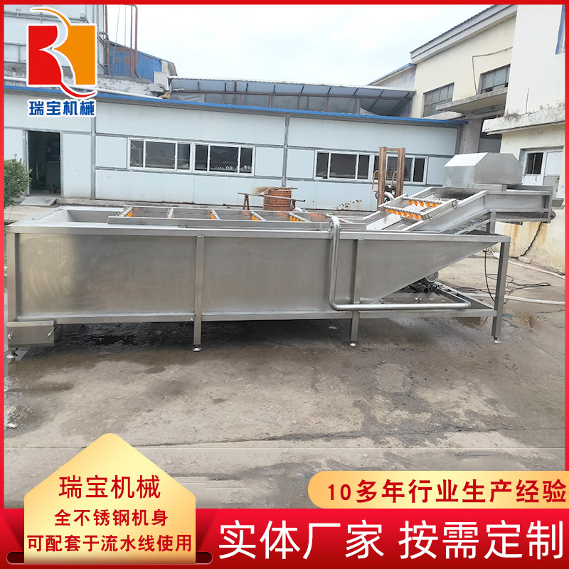 杂粮蔬菜气泡清洗机  多功能蔬菜清洗机 根茎蔬菜打蜡清洗机