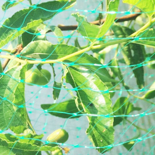 Bird Netting Image 8