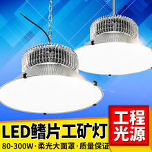 led���V��S���������������ë���w���^��ѣ��������՟����r��