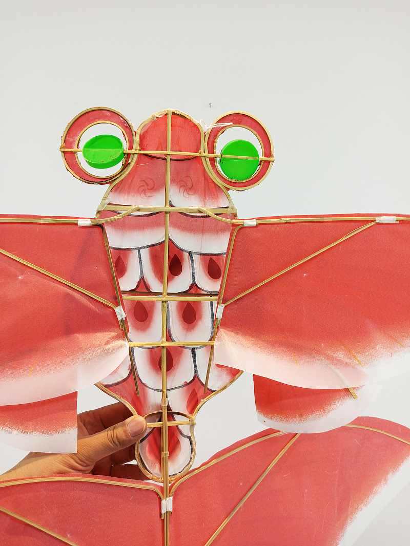 ZHZ中金鱼 (5).jpg