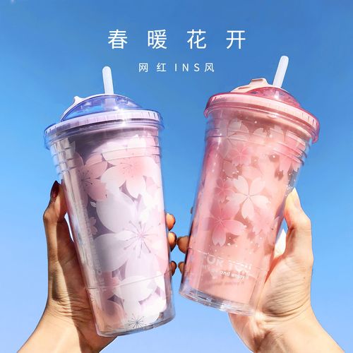 Hot Instagram plastic straw cup with high quality and double-layer sealed water cup for gifts 
