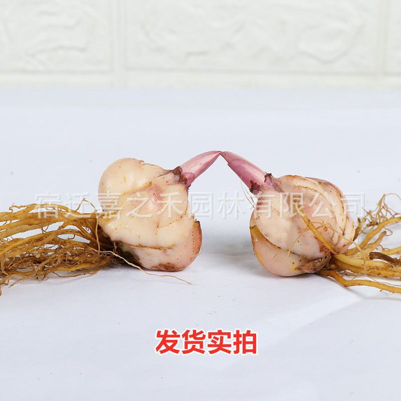 QQ图片20201130121333