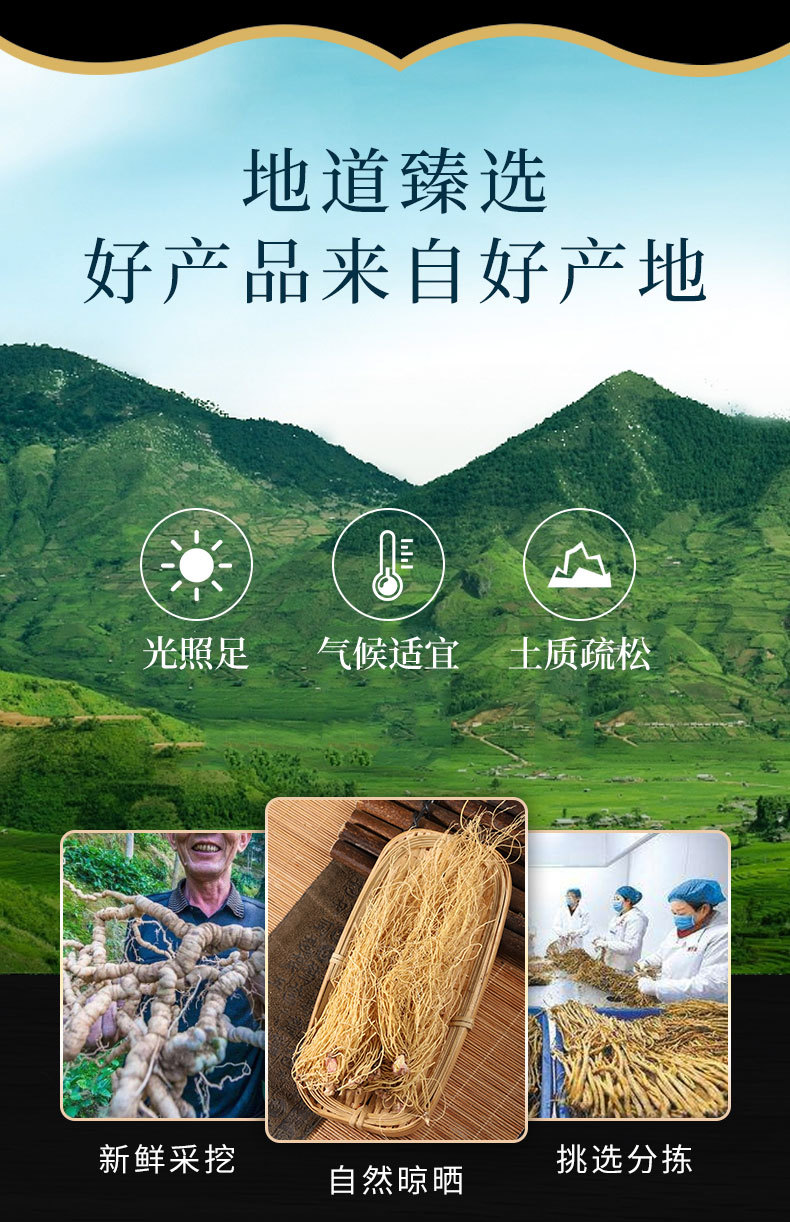 Xi Xin Root (Asarum heterotropoides) — Northern Wild Ginger Dried Herb, 500g overview