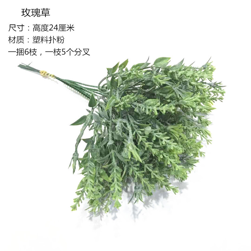 手札塑料草系列19.jpg