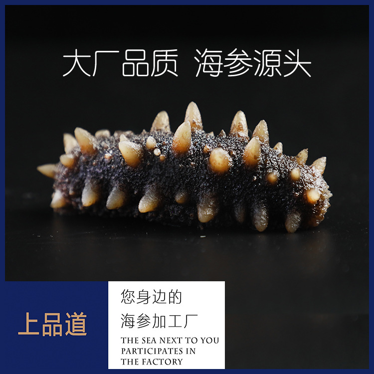 【海参工厂】大连即食海参批发辽刺参非干货厂家直供一件代发500g