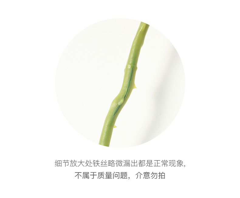 一键复制_20200505163631