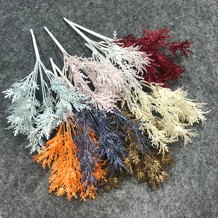 Y쾰滨F PβݻcҾbɺ Y