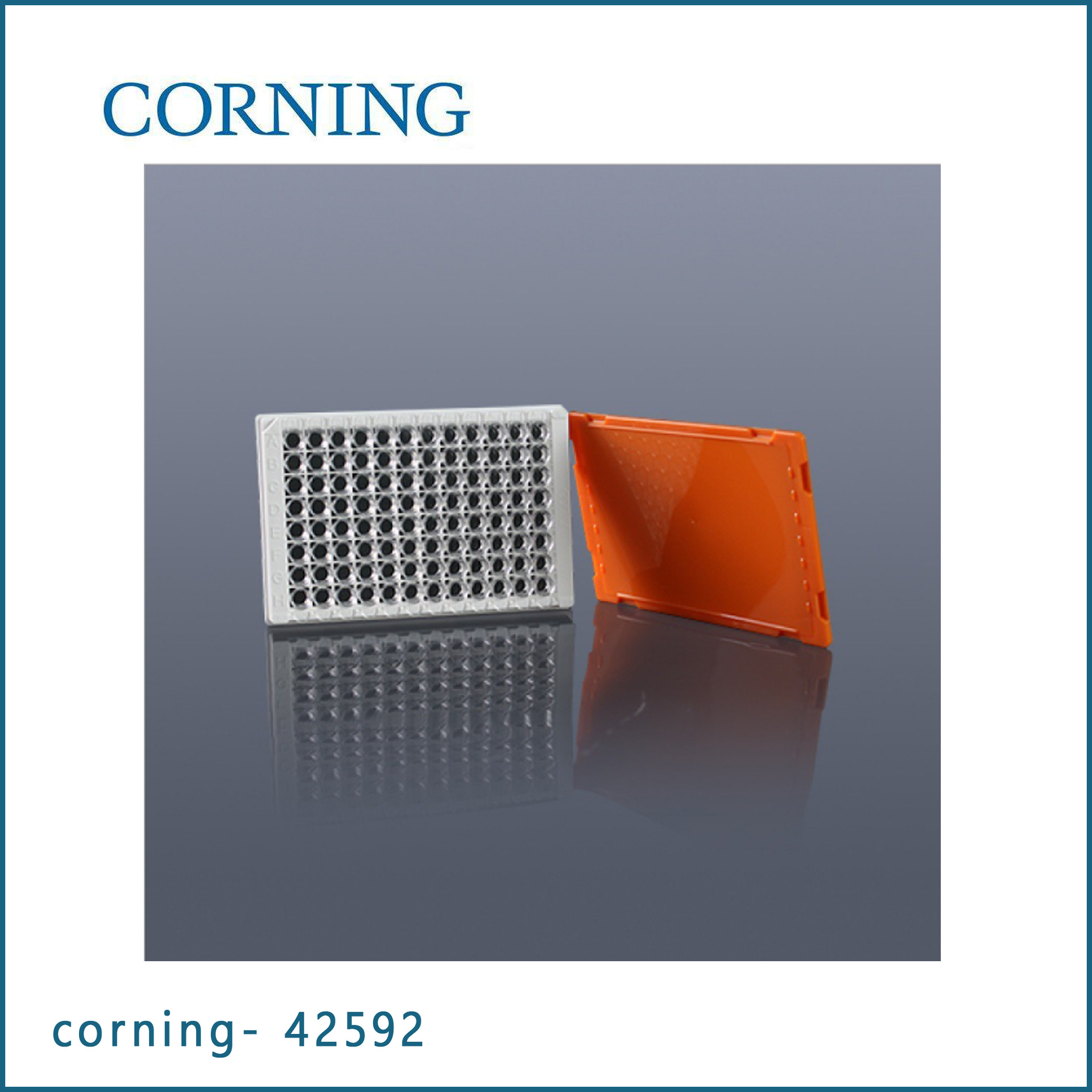 康宁Corning 42592 96孔单条可拆酶标板 透明，25块/包，4包/箱