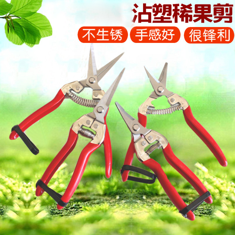 8675350554_1511651549