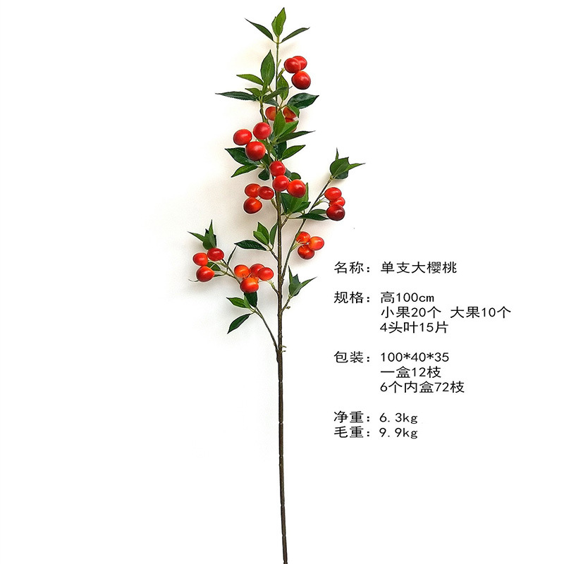 XRG-023 大樱桃1米 (1).jpg