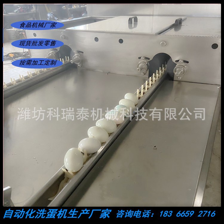 供应双排多功能洗蛋机 可定制鸡鸭蛋快速清洗机 破损率低操作简单