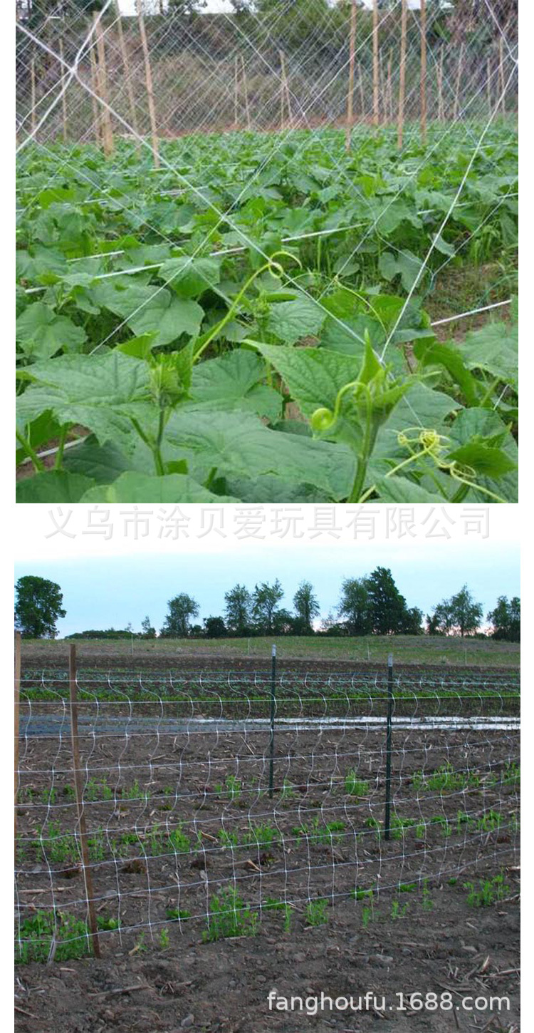 爬藤网详细_05.jpg