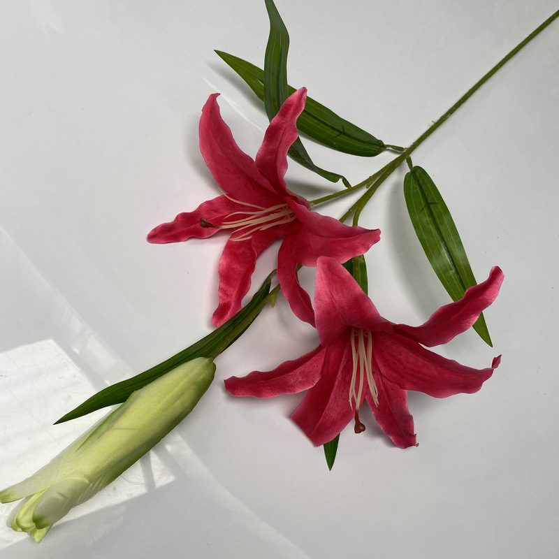 新百合小枝三头深粉