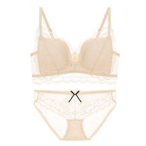 新品法式性感胸罩蕾丝无钢圈聚拢美背内衣女上托调整型文胸套装