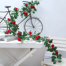 �ٗl�ܵ��پG�~�ٻ�������{õ�廨늾��p�@���ܱ������b��ړ���