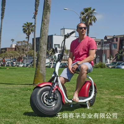 Elektrikli motosikletlər Two-Wheeled Motorcycles, Scooters