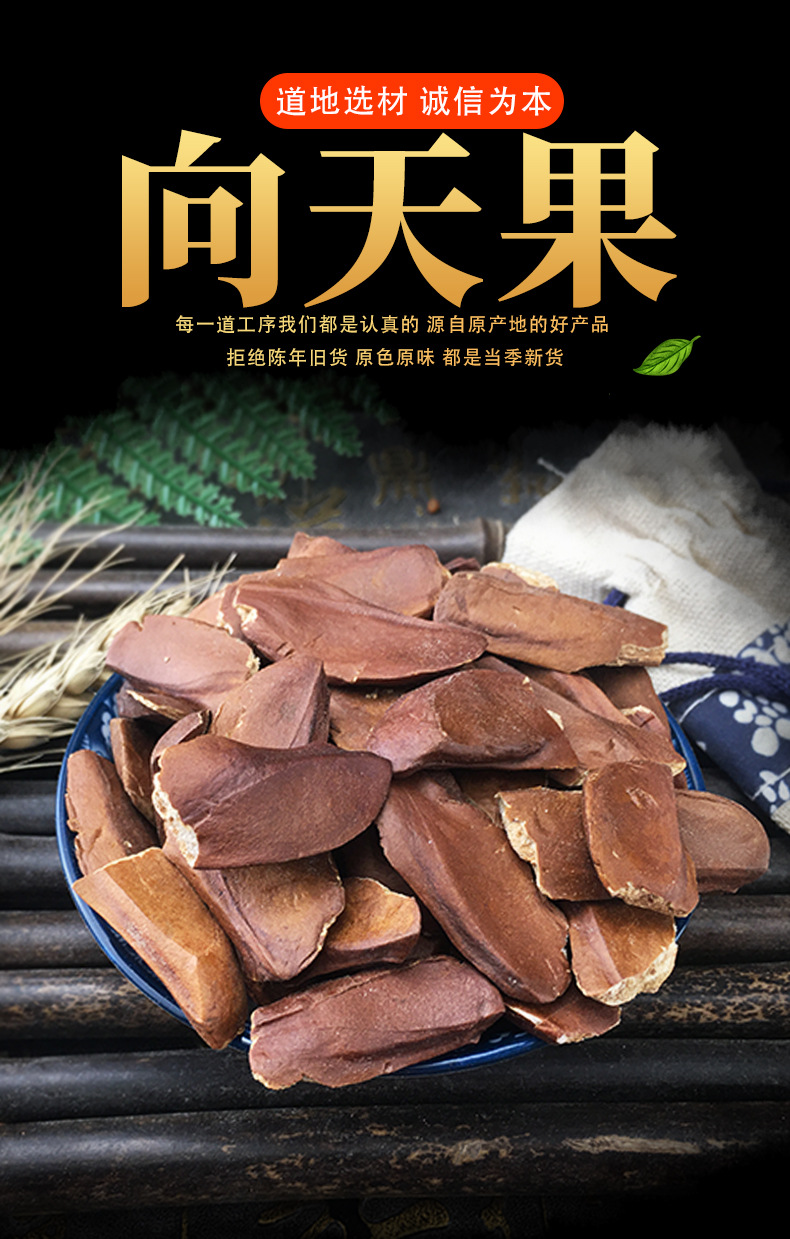 Xiang Tian Gu Seeds Fructus Hydnocarpi Dried Whole Seeds Bulk 1 Jin 500g key features