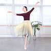 Modern summer universal skirt, practice, dancing clothing