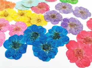 ÷�� �����ɻ���޹Ϟ�T�D÷ ϞƬ���� Ѻ�����滨����diy�ֹ�����