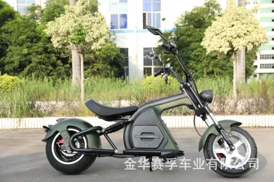 Elektrikli motosikletlər EU electric Harley car
