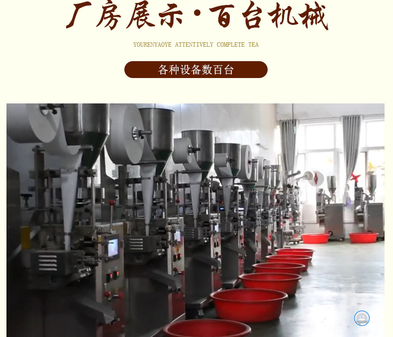 Fat sea chrysanthemum tea _16 jpg