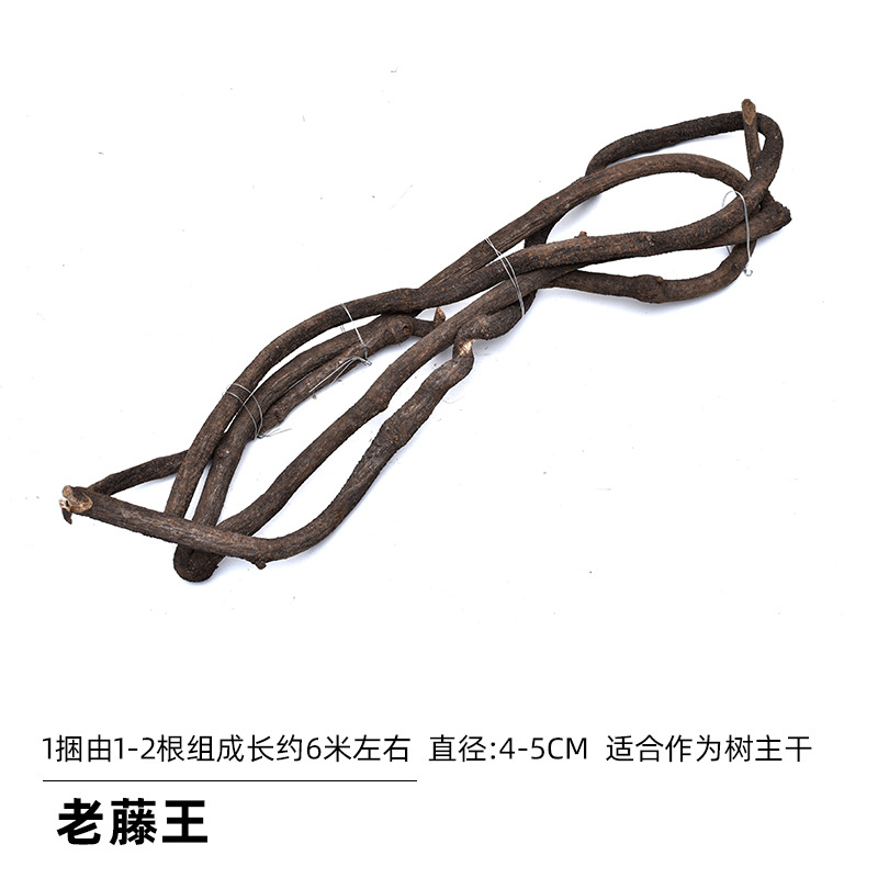 Árbol vid simulación vid seca montaña ratán rural paisaje decoración del paisaje vid seca vid vieja Montaña Roja tubería de vid