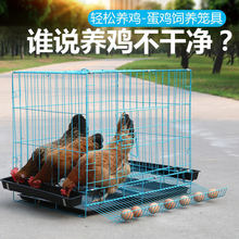 。鸡笼家用养殖鸡笼阳台土蛋鸡笼子自动滚蛋大号鸡窝母鸡折叠宠物