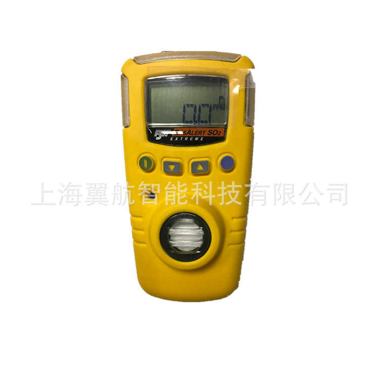 加拿大BW GAXT-S 便携式二氧化硫检测仪 SO2检测仪