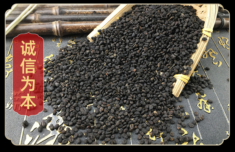 Dried Psoralea Fruit Bu Gu Zhi Whole Bulk 500g Traditional Chinese Herb in use